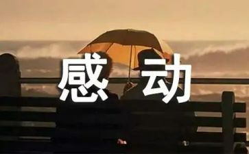 感动作文500字高中作文推荐6篇