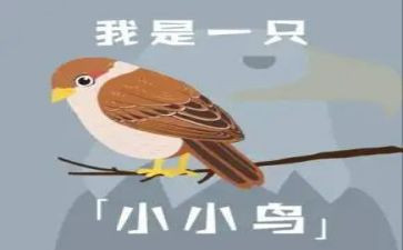 我是一只小鸟作文优秀8篇(飞翔自由天空：小鸟的八篇精彩故事)