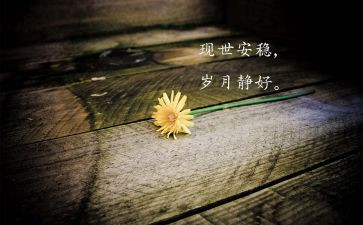 我愿意的观后感6篇