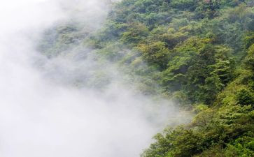 对雾霾的倡议书5篇