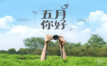 五月中班工作总结7篇