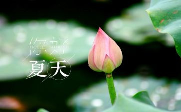 夏天的作文600字初中优秀范文精选5篇(夏日璀璨：初中优秀作文精选)