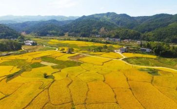 三下乡总结报告模板6篇(乡村调研：六篇总结报告模板)