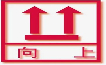 《向上》作文参考5篇