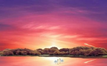 骆驼祥子读书心得1000字通用8篇(《骆驼祥子》：千字读书心得，文辑精选8篇)