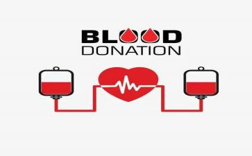 献血日活动策划8篇