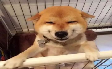 笑观后感5篇