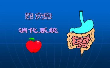 消化自我鉴定最新6篇