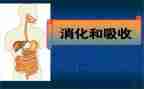 消化内科自我鉴定7篇