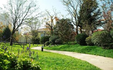 小区月总结模板7篇