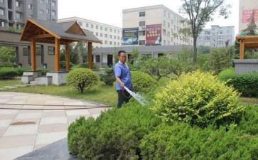 小区物业工作总结报告7篇