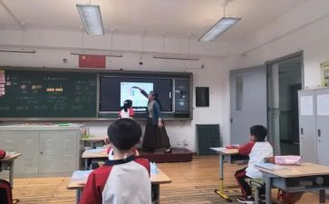 小数教教案5篇