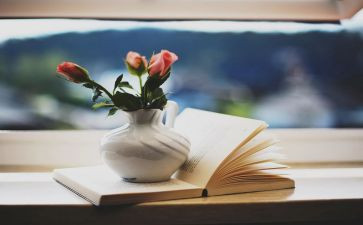 小说读后感500字精选5篇