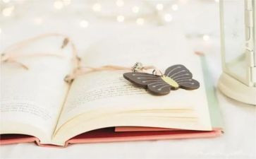 看小说写读后感优质5篇