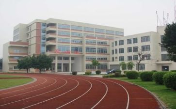 游校园活动总结优质8篇