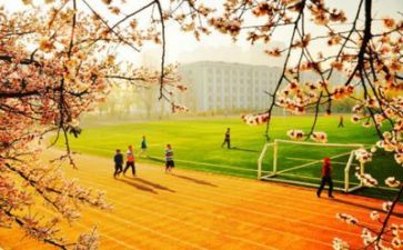 关于校园的作文精选5篇