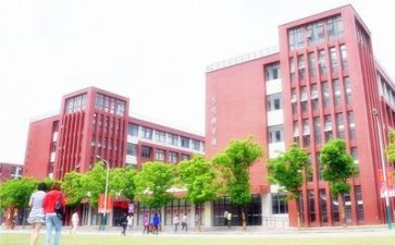 开展校园文化活动总结8篇