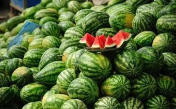 切西瓜的活动教案6篇