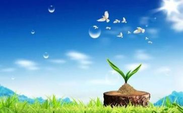 教师心理培训心得体会最新5篇(教师心理培训：洞察教育之道)