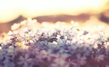 给心灵以滋养作文6篇