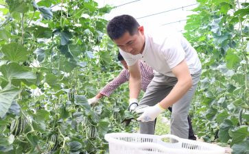 新农村建设调查报告8篇