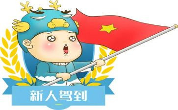 新人年终工作总结7篇
