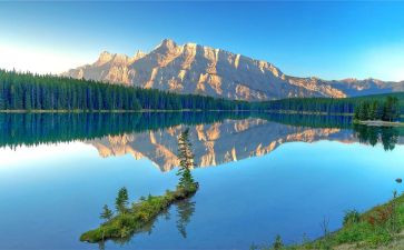 跟欣赏有关的作文通用8篇