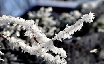 雪活动教案优秀7篇
