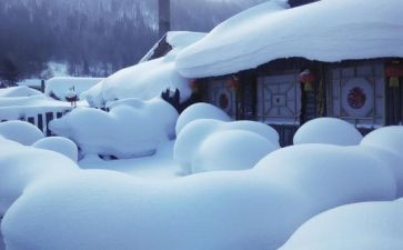 关于雪的作文800字范文8篇(