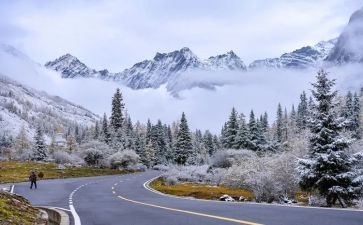 雪地寻踪读后感5篇