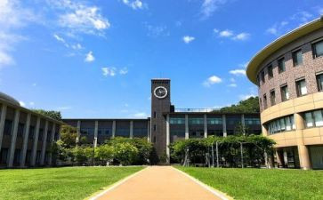 大学部门工作年度总结8篇