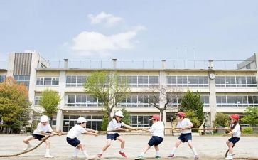 大学生个人鉴定范文300字8篇(大学生个人鉴定范文集锦)