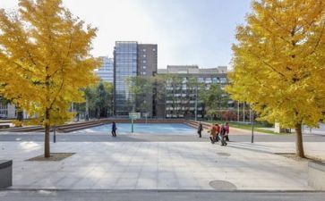 学校安全生产月活动工作总结通用7篇