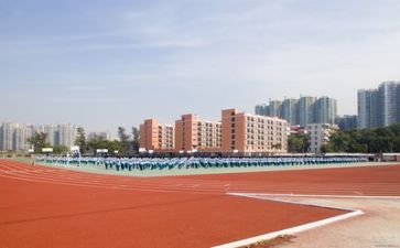 学校教师演讲稿8篇