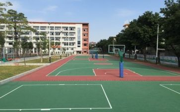 学校环保活动方案5篇(