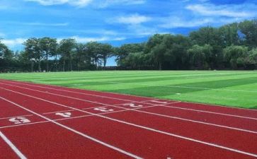 学校个人自我鉴定参考5篇