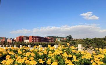 学校校长述职报告7篇(学校校长述职报告：7篇精华总结)