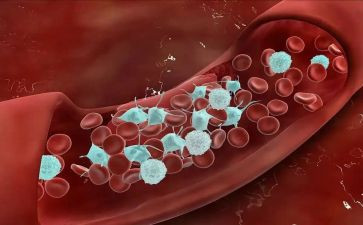 血液内科心得体会5篇