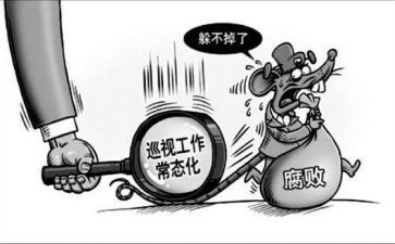 巡查员年度总结8篇