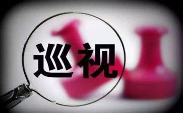 巡查总结报告7篇