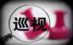 巡查总结报告7篇