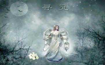 寻觅作文通用6篇