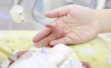 幼儿小班乖宝宝教案推荐8篇