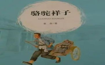 样子作文优质7篇
