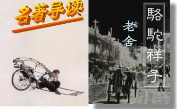 青春的样子作文8篇