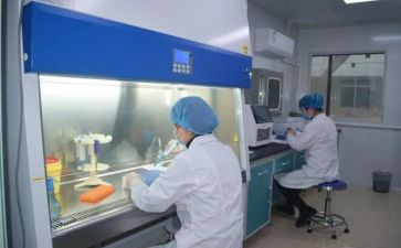 试验员的工作总结最新8篇
