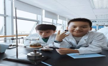 试验员的年终总结8篇
