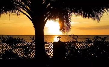 小叶子的读后感优质5篇