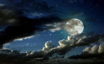 静夜思的读后感6篇