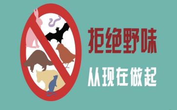 拒绝野味从我做起演讲稿参考5篇(